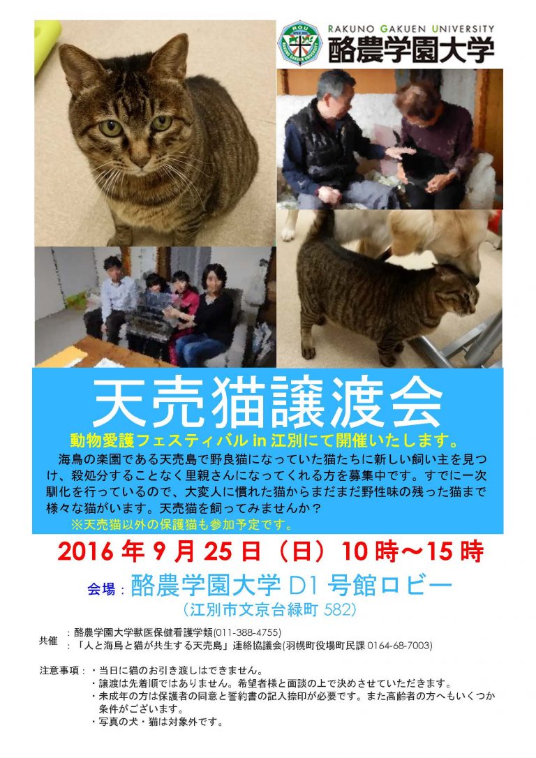 【2016/09/25】 天売猫譲渡会(動物愛護フェスティバルin江別)