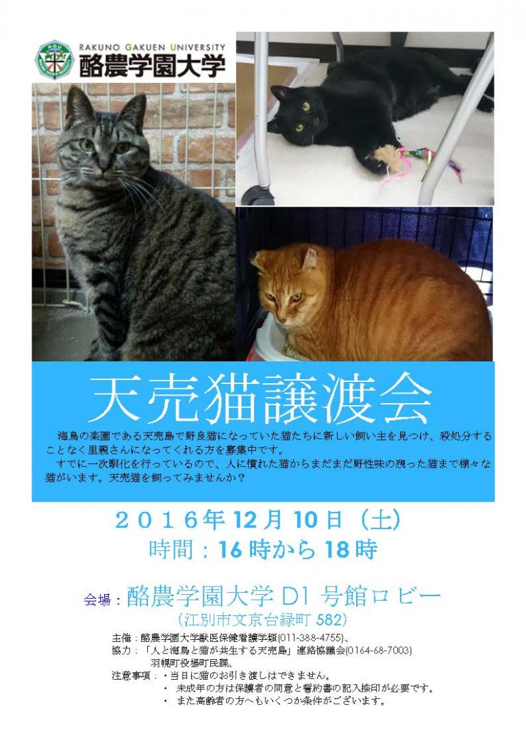【2016/12/10】天売猫譲渡会（酪農学園大学）