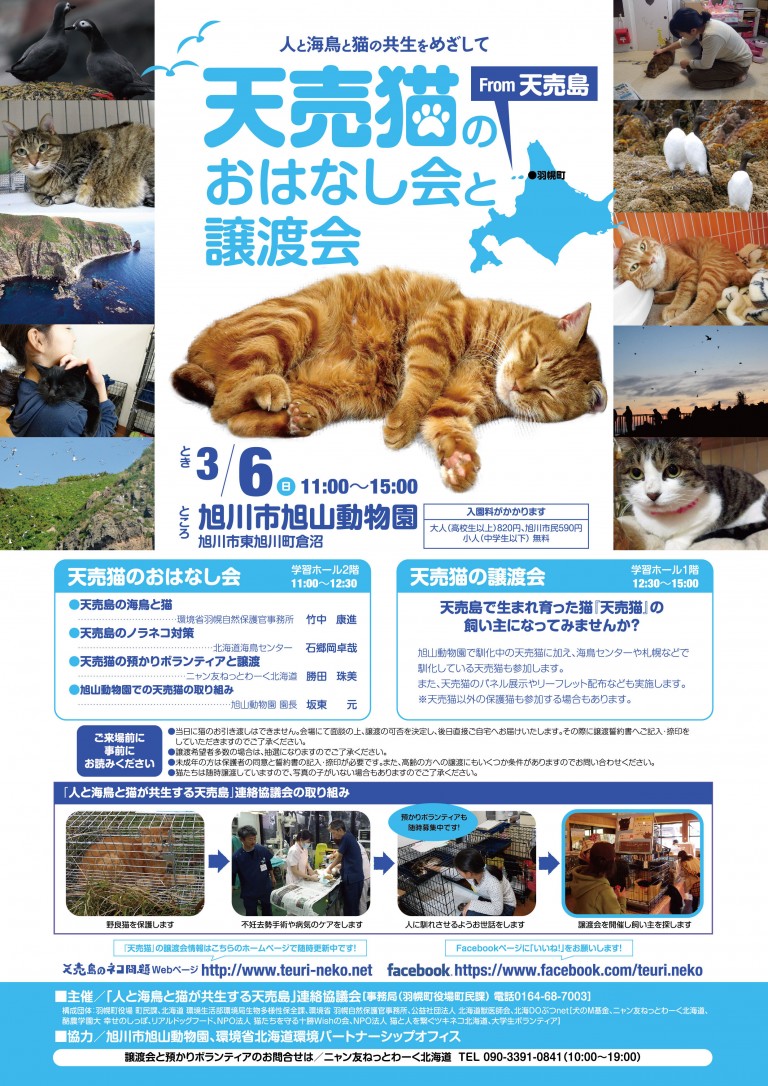 【2016/03/06】天売猫のおはなし会と譲渡会