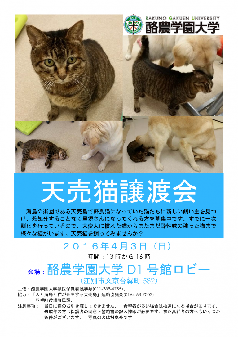 【2016/04/03】天売猫譲渡会（酪農学園大学）