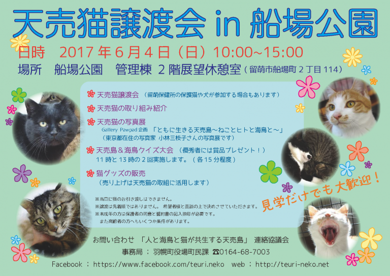 【2017/06/04】天売猫譲渡会in 船場公園