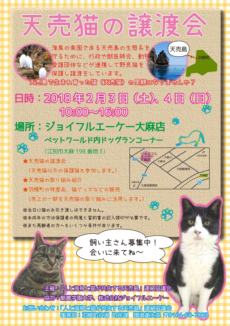 【02/03～02/04】天売猫の譲渡会